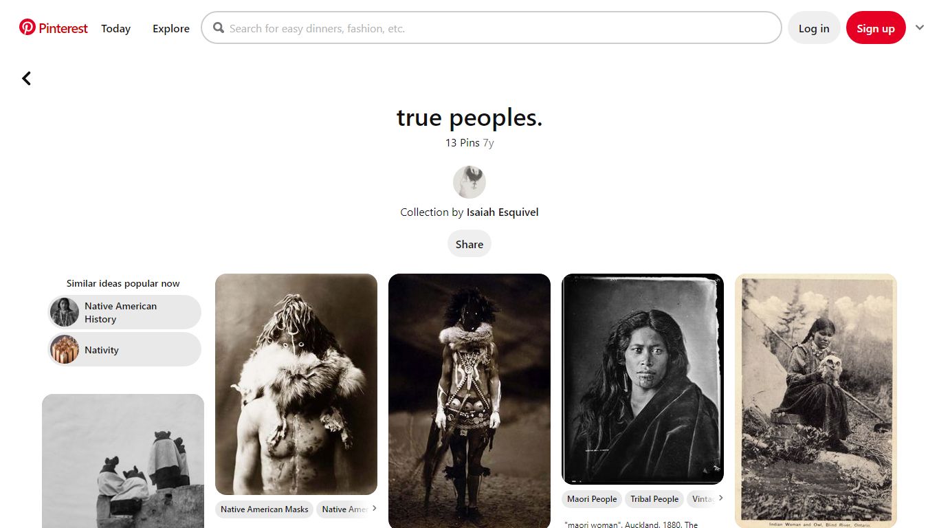 13 True peoples. ideas | native american indians, native american ...